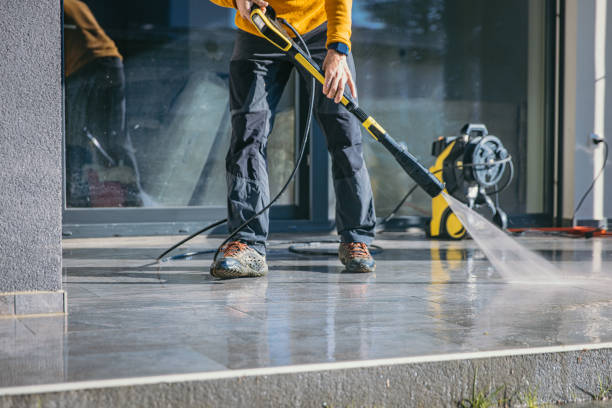 Best Animal Enclosure Cleaning  in Hill N Dale, FL